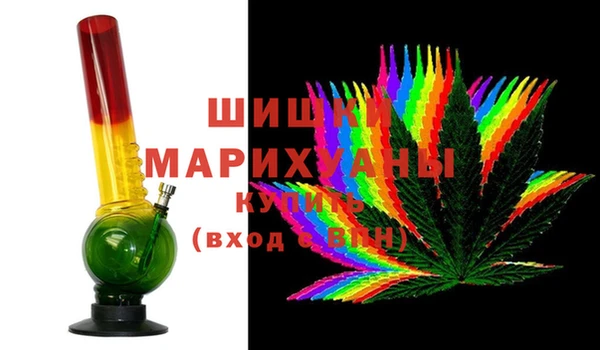 шишки Медвежьегорск