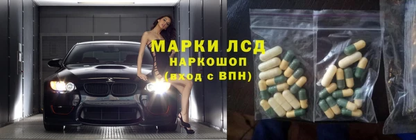 шишки Медвежьегорск