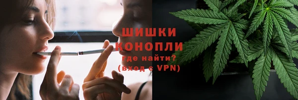 шишки Медвежьегорск
