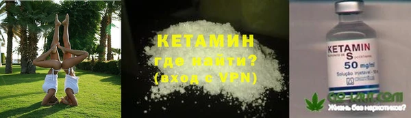 шишки Медвежьегорск