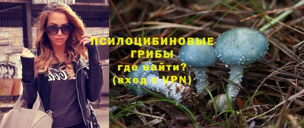 молекула духа Медногорск
