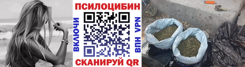 Галлюциногенные грибы Psilocybine cubensis Никольск