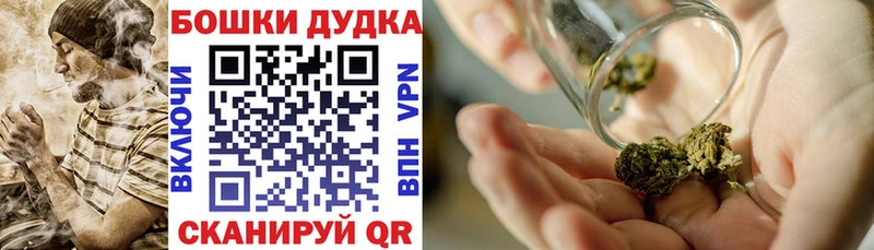 МАРИХУАНА сатива Никольск